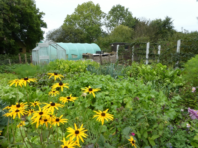 Helen's Bay Organic